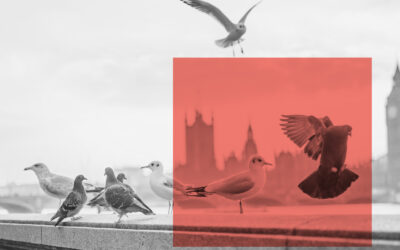 London Property Developers