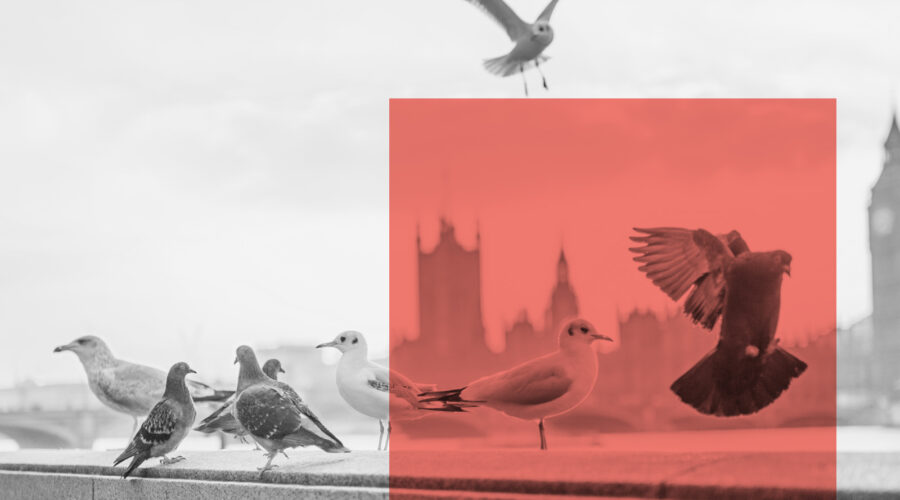 Another Test News Story